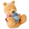 Hallmark Disney Baby Winnie The Pooh Wobble And Chime Stuffed Animal 2 Hallmark Disney Baby Winnie The Pooh Wobble And Chime Stuffed Animal -Toy Store 0001BBY4805