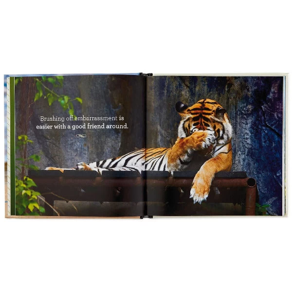 Hallmark Friends Forever: 42 Ways To Celebrate Love, Loyalty And Togetherness Book 4 Hallmark Friends Forever: 42 Ways To Celebrate Love, Loyalty And Togetherness Book - Image 2