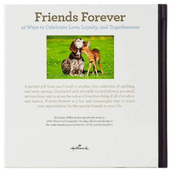 Hallmark Friends Forever: 42 Ways To Celebrate Love, Loyalty And Togetherness Book 5 Hallmark Friends Forever: 42 Ways To Celebrate Love, Loyalty And Togetherness Book - Image 3