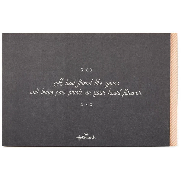 Hallmark Paw Prints On Your Heart: Saying Good-bye To Your Best Friend Book 5 Hallmark Paw Prints On Your Heart: Saying Good-bye To Your Best Friend Book - Image 3
