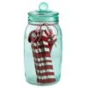 Hallmark Christmas Activities Prompted Jar With 25 Candy-Cane Papers -Toy Store 0001KCX1114