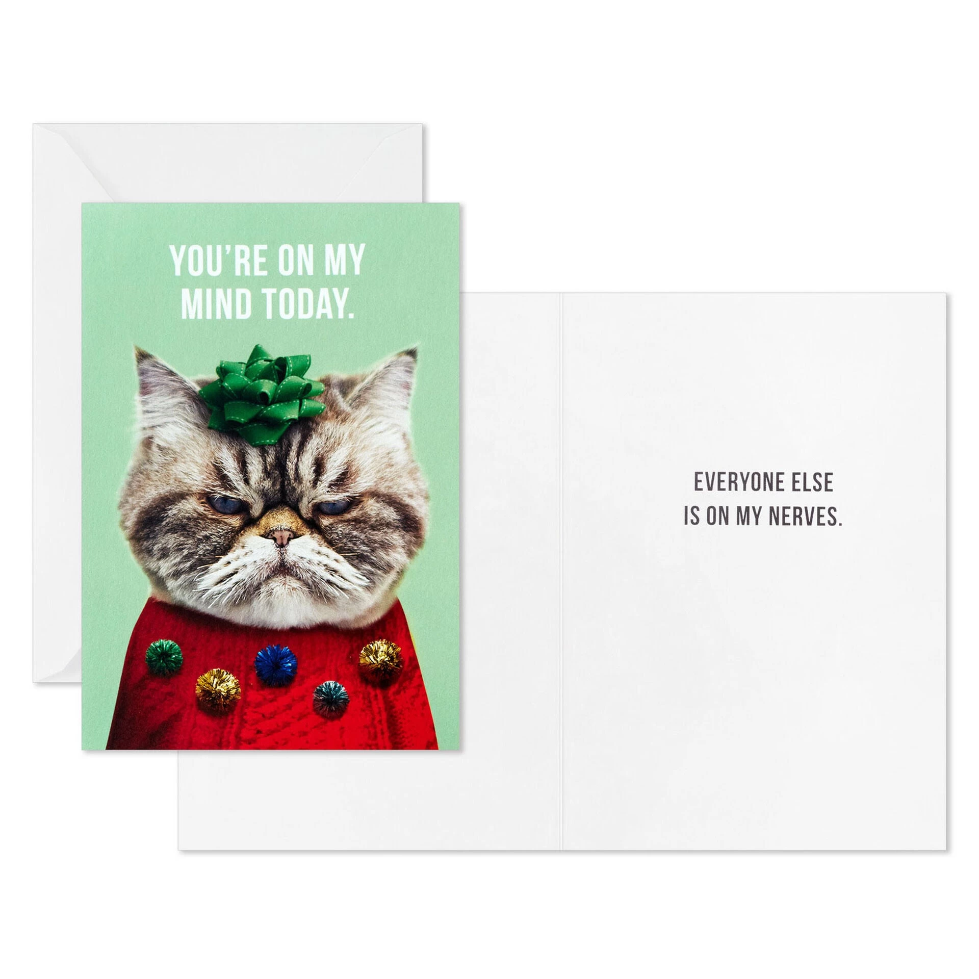 Hallmark Kevin The Cat In Holiday Sweater Boxed Christmas Cards, Pack Of 16 4 Hallmark Kevin The Cat In Holiday Sweater Boxed Christmas Cards, Pack Of 16 - Image 2