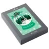 Hallmark Season Of Hope Snow Globe Boxed Christmas Cards, Pack Of 16 -Toy Store 0001XPX1301