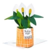 Hallmark Peace Lily Love You 3D Pop-Up Thinking Of You Card -Toy Store 0799WDR1202 1