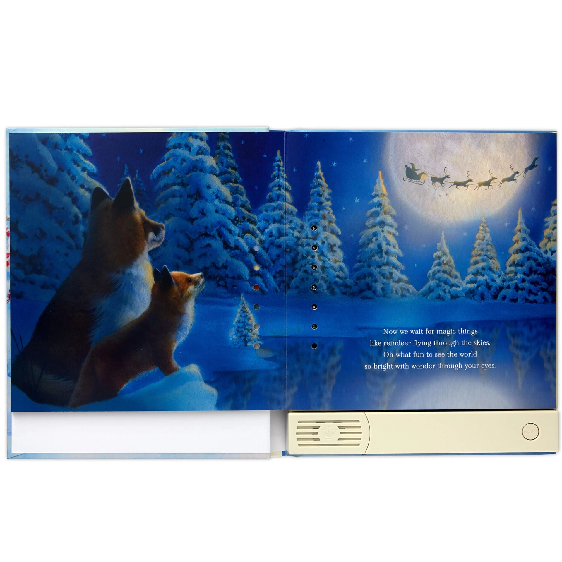 Hallmark A Christmas Wish For My Grandchild Recordable Storybook 4 Hallmark A Christmas Wish For My Grandchild Recordable Storybook - Image 2