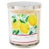Hallmark Lemon Grove 3-Wick Jar Candle 16 Oz. 2 Hallmark Lemon Grove 3-Wick Jar Candle 16 Oz. -Toy Store BGC1055 01