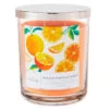 Hallmark Orange Vanilla Cream Scented 3-Wick Jar Soy Candle, 16 Oz. 2 Hallmark Orange Vanilla Cream Scented 3-Wick Jar Soy Candle, 16 Oz. -Toy Store BGC1062 01