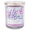 Hallmark Lavender Sage 3-Wick Jar Candle, 16 Oz. -Toy Store BGC1066 01