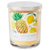 Hallmark Pineapple Lemonade 3-Wick Jar Candle, 16 Oz.