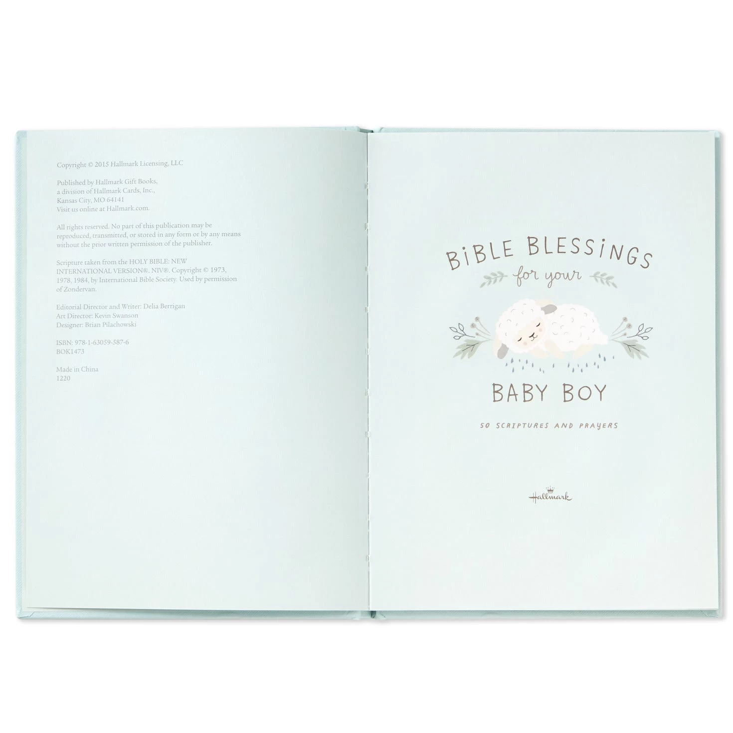 Hallmark Bible Blessings For Your Baby Boy Book 5 Hallmark Bible Blessings For Your Baby Boy Book - Image 3