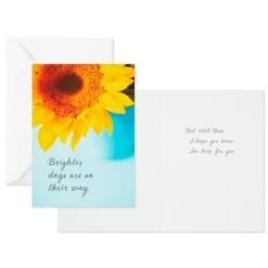Hallmark Nature Images Assorted Thinking Of You Cards, Pack Of 12 -Toy Store Nature Images Thinking of You Cards Assortment 1EDX3861 02