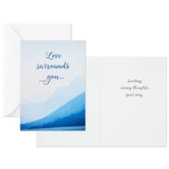 Hallmark Nature Images Assorted Thinking Of You Cards, Pack Of 12 -Toy Store Nature Images Thinking of You Cards Assortment 1EDX3861 03