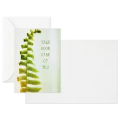 Hallmark Nature Images Assorted Thinking Of You Cards, Pack Of 12 -Toy Store Nature Images Thinking of You Cards Assortment 1EDX3861 04