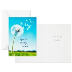 Hallmark Nature Images Assorted Thinking Of You Cards, Pack Of 12 -Toy Store Nature Images Thinking of You Cards Assortment 1EDX3861 05