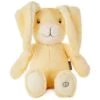 Hallmark Peek-a-boo Bunny Stuffed Animal With Sound And Motion, 7.5" 1 Hallmark Peek-a-boo Bunny Stuffed Animal With Sound And Motion, 7.5" -Toy Store Peekaboo Bunny Stuffed Animal With Sound and Motion 75 root 1BBY4099 BBY4099 1470 1.jpg Source Image 1